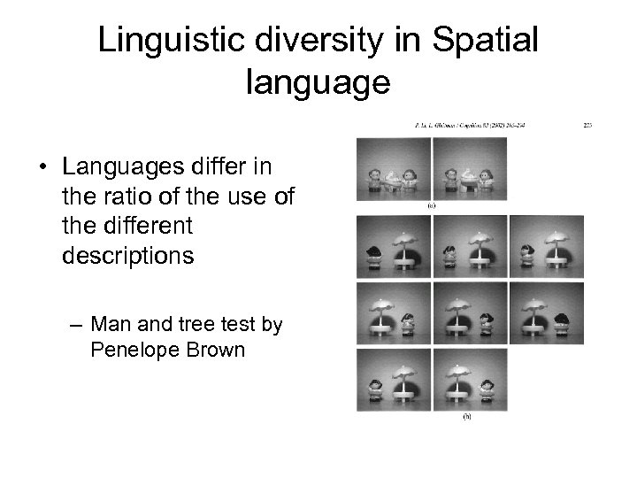 Linguistic diversity in Spatial language • Languages differ in the ratio of the use