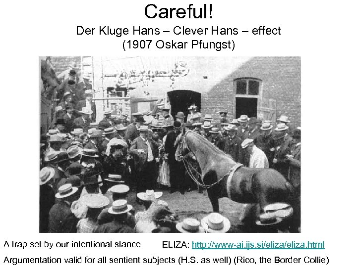 Careful! Der Kluge Hans – Clever Hans – effect (1907 Oskar Pfungst) A trap