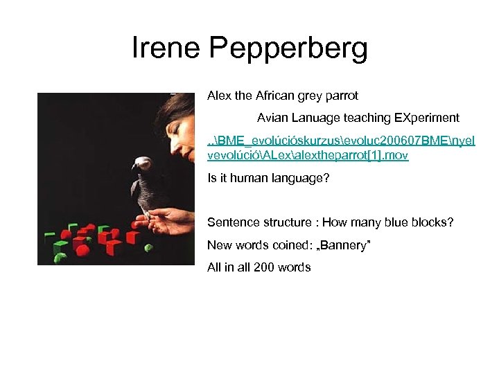 Irene Pepperberg Alex the African grey parrot Avian Lanuage teaching EXperiment. . BME_evolúcióskurzusevoluc 200607