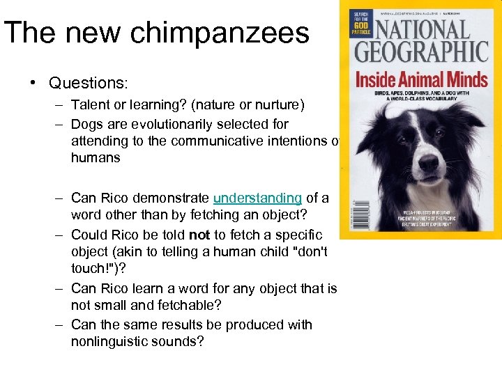 The new chimpanzees • Questions: – Talent or learning? (nature or nurture) – Dogs