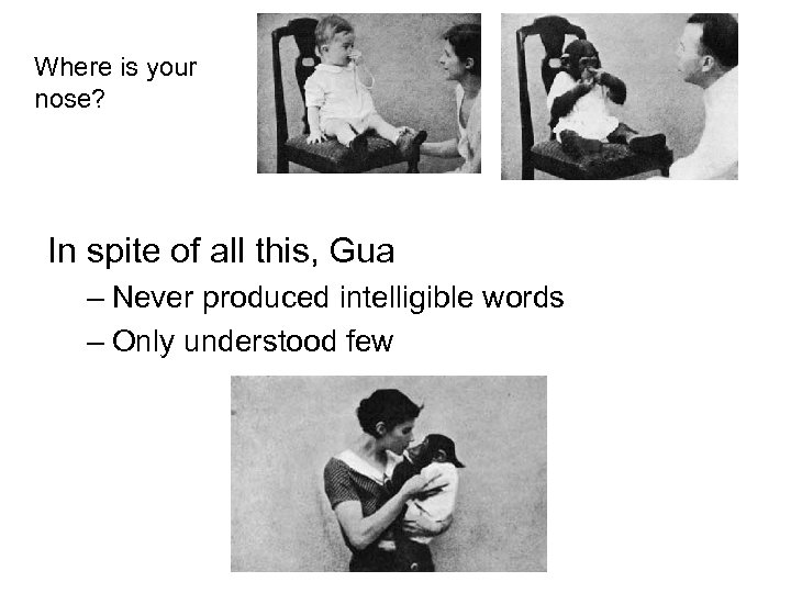 Where is your nose? In spite of all this, Gua – Never produced intelligible