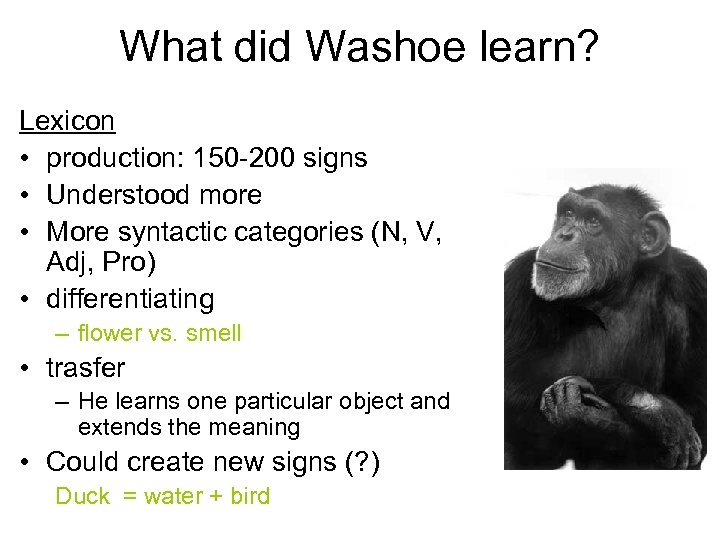 What did Washoe learn? Lexicon • production: 150 -200 signs • Understood more •
