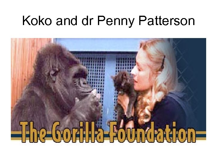 Koko and dr Penny Patterson 