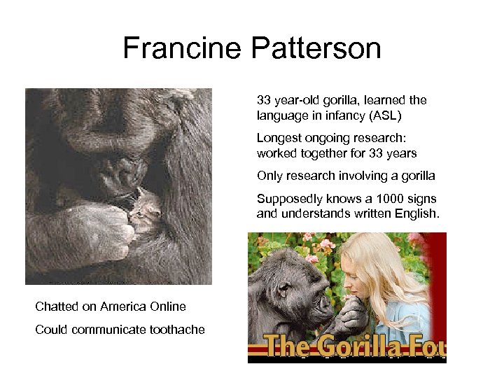 Francine Patterson 33 year-old gorilla, learned the language in infancy (ASL) Longest ongoing research: