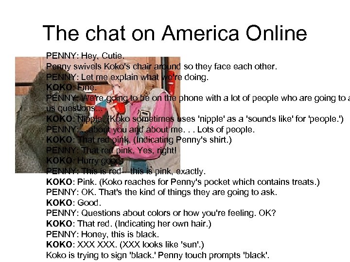 The chat on America Online PENNY: Hey, Cutie. Penny swivels Koko's chair around so