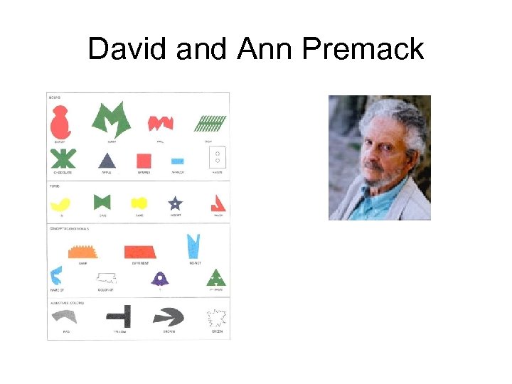 David and Ann Premack 