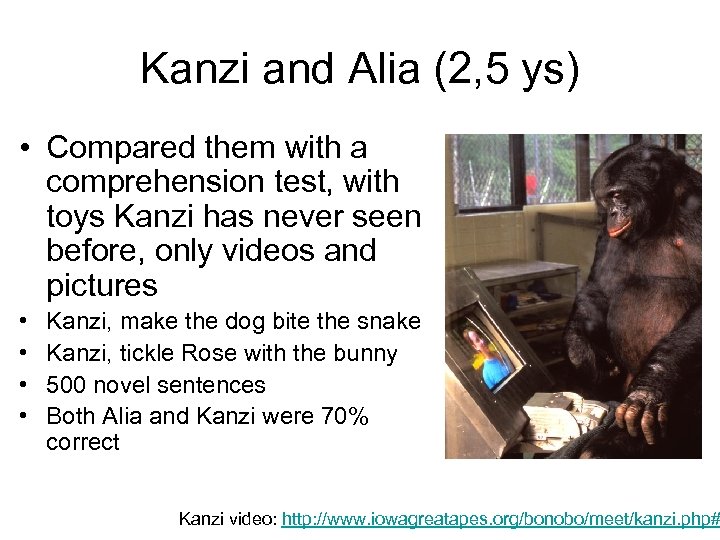 Kanzi and Alia (2, 5 ys) • Compared them with a comprehension test, with