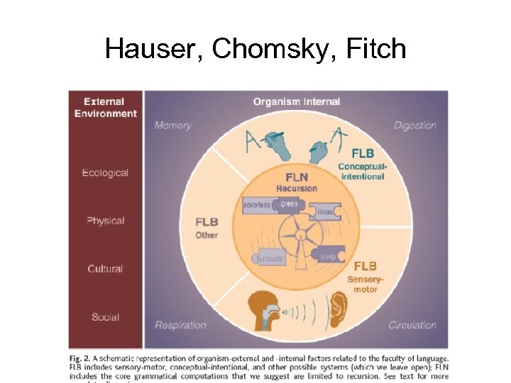 Hauser, Chomsky, Fitch 
