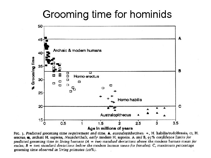 Grooming time for hominids 
