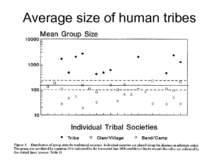 Average size of human tribes 