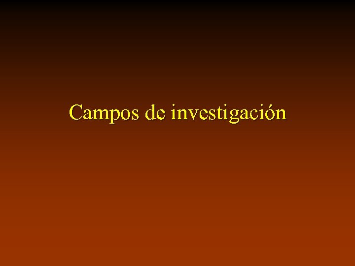 Campos de investigación 