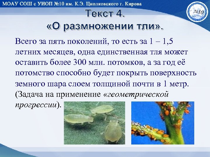 Текст 4. «О размножении тли» . Всего за пять поколений, то есть за 1