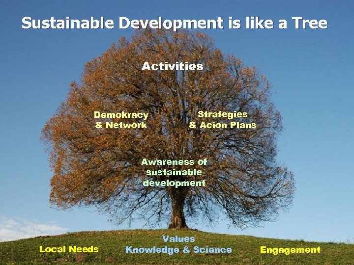 Sustainable Development is like a Tree Activities Demokracy & Network Strategies & Acion Plans
