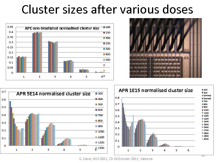 Cluster sizes after various doses 0. 45 100 APC non-irradiated normalised cluster size 0.