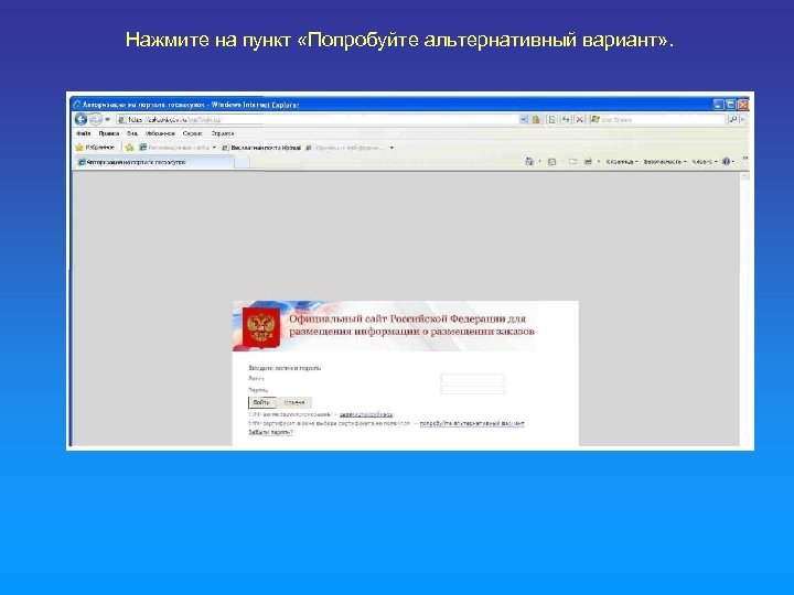 Нажмите на пункт «Попробуйте альтернативный вариант» . 