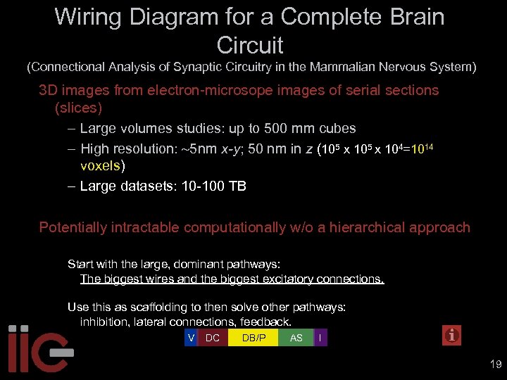 Wiring Diagram for a Complete Brain Circuit (Connectional Analysis of Synaptic Circuitry in the