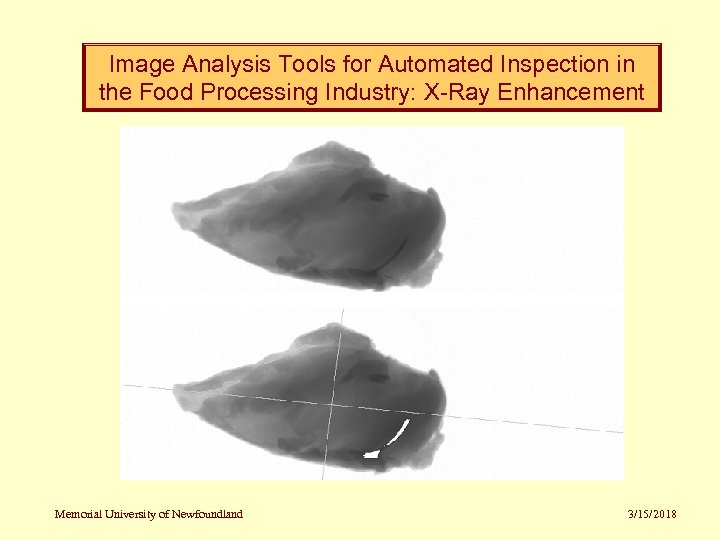 Image Analysis Tools for Automated Inspection in the Food Processing Industry: X-Ray Enhancement Memorial