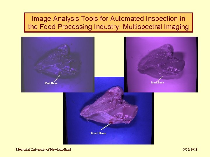 Image Analysis Tools for Automated Inspection in the Food Processing Industry: Multispectral Imaging Memorial