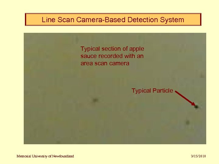 Line Scan Camera-Based Detection System Typical section of apple sauce recorded with an area
