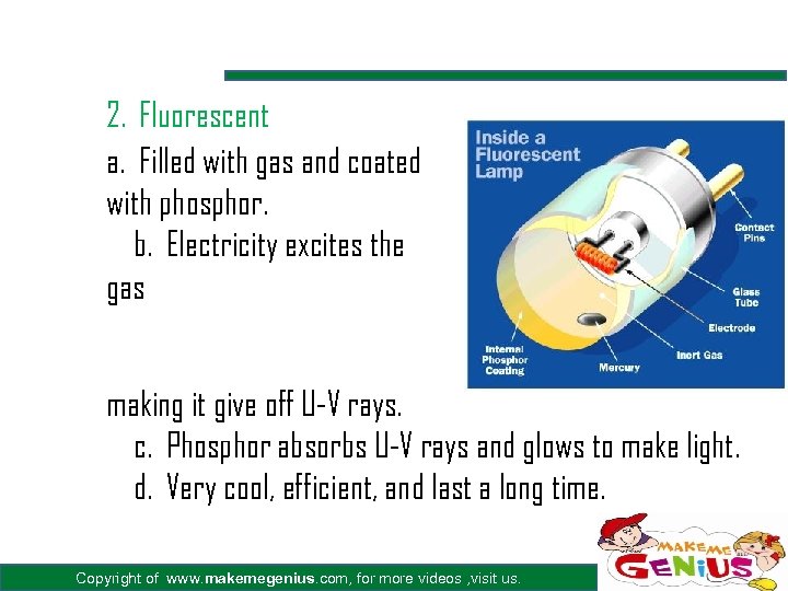 2. Fluorescent a. Filled with gas and coated with phosphor. b. Electricity excites the