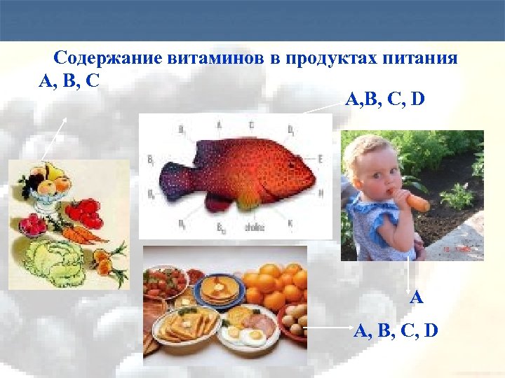 Содержание витаминов в продуктах питания А, В, С, D А А, В, С, D