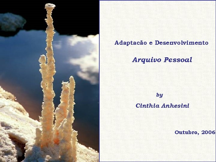 Adaptacão e Desenvolvimento Arquivo Pessoal by Cinthia Anhesini Outubro, 2006 