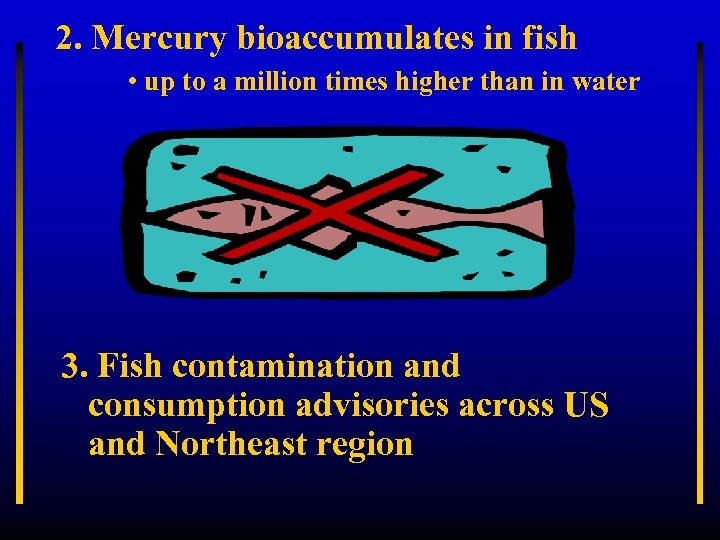 2. Mercury bioaccumulates in fish • up to a million times higher than in