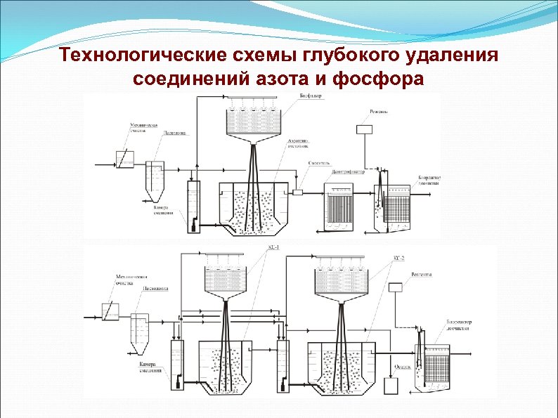 Технологические схемы обработки молока с прифермской молокоприемной при доении