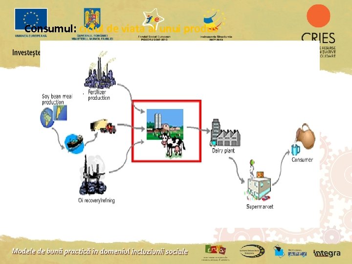 Consumul: ciclul de viata al unui produs 