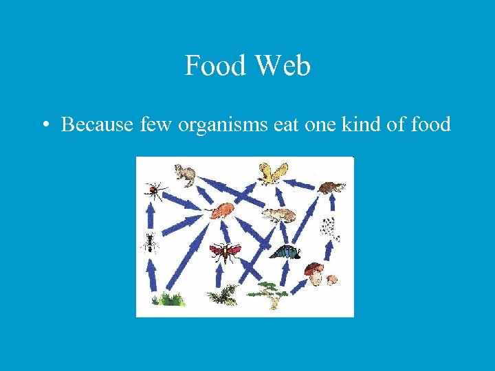 Food Web • Because few organisms eat one kind of food 