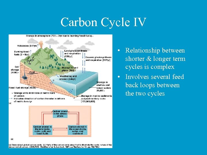 Carbon Cycle IV • Relationship between shorter & longer term cycles is complex •