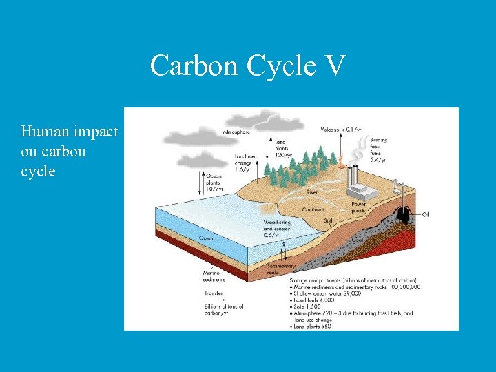 Carbon Cycle V Human impact on carbon cycle 