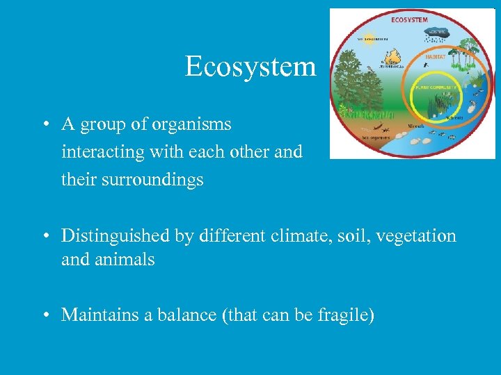 Ecosystem • A group of organisms interacting with each other and their surroundings •