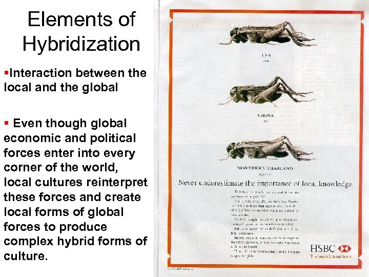 Elements of Hybridization Interaction between the local and the global Even though global economic