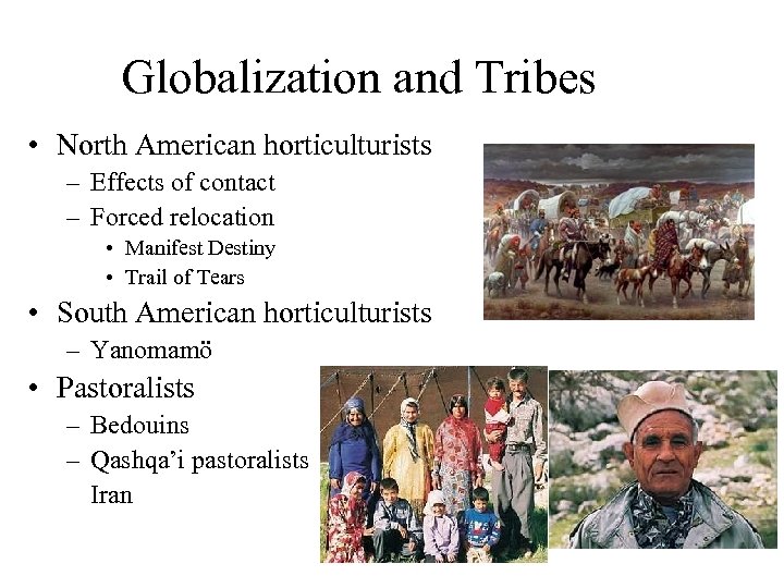 Globalization and Tribes • North American horticulturists – Effects of contact – Forced relocation