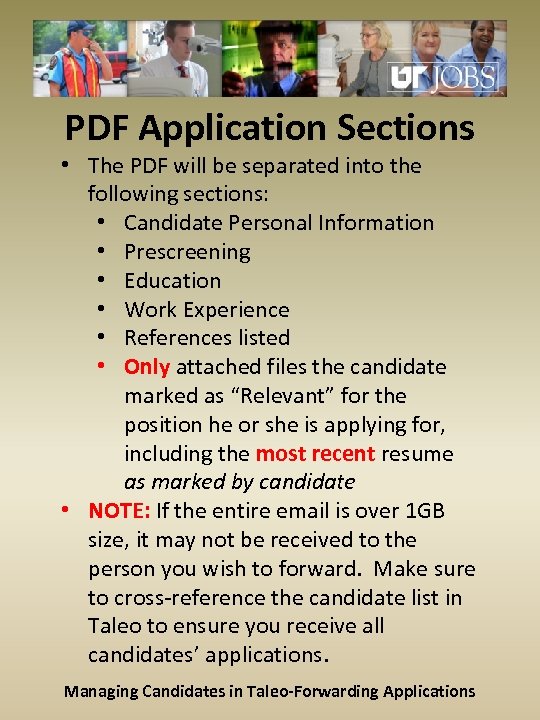 PDF Application Sections • The PDF will be separated into the following sections: •