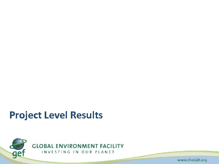 Project Level Results 