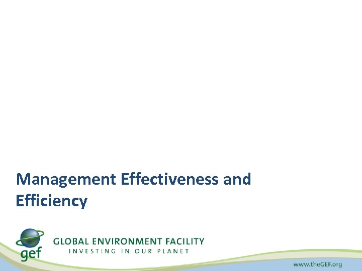 Management Effectiveness and Efficiency 