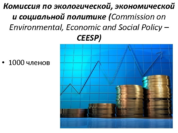 Комиссия по экологической, экономической и социальной политике (Commission on Environmental, Economic and Social Policy