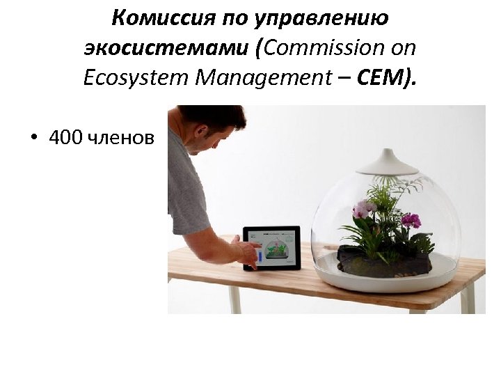 Комиссия по управлению экосистемами (Commission on Ecosystem Management – CEM). • 400 членов 