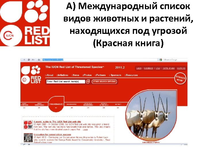 А) Международный список видов животных и растений, находящихся под угрозой (Красная книга) 