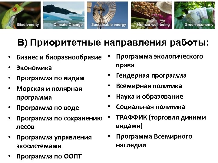 В) Приоритетные направления работы: • • Бизнес и биоразнообразие Экономика Программа по видам Морская