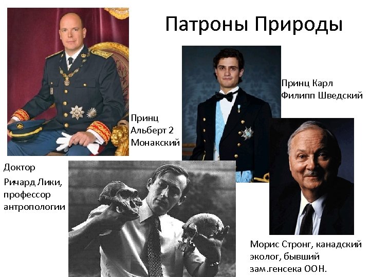 Патроны Природы Принц Карл Филипп Шведский Принц Альберт 2 Монакский Доктор Ричард Лики, профессор