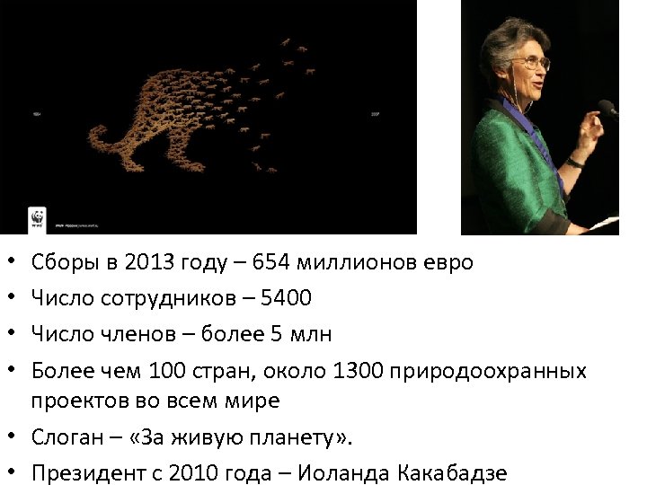 Сборы в 2013 году – 654 миллионов евро Число сотрудников – 5400 Число членов