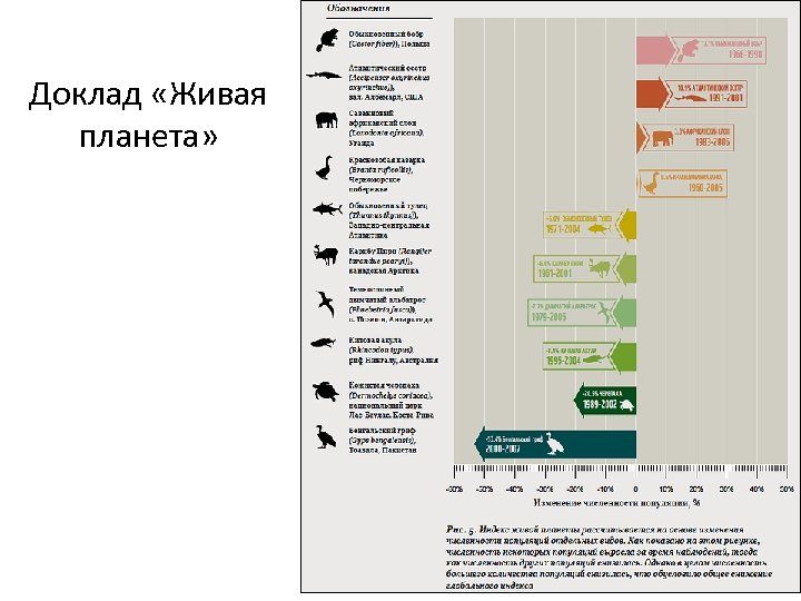 Доклад «Живая планета» 