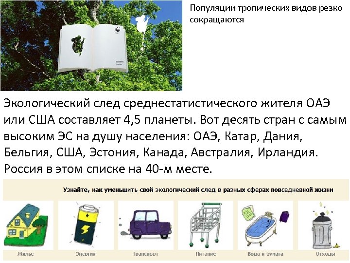 Популяции тропических видов резко сокращаются Экологический след среднестатистического жителя ОАЭ или США составляет 4,