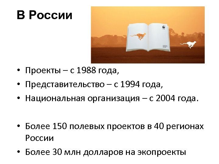 В России • Проекты – с 1988 года, • Представительство – с 1994 года,
