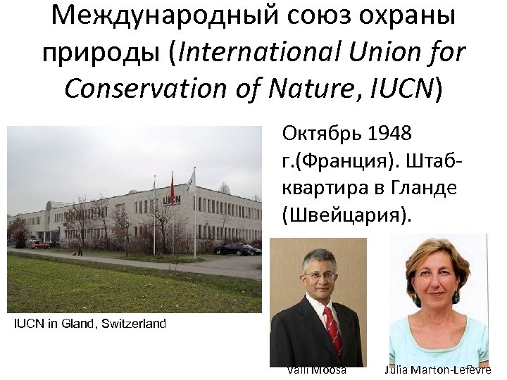 Международный союз охраны природы (International Union for Conservation of Nature, IUCN) Октябрь 1948 г.
