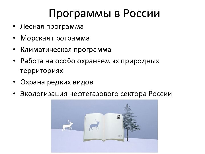 Программы в России Лесная программа Морская программа Климатическая программа Работа на особо охраняемых природных