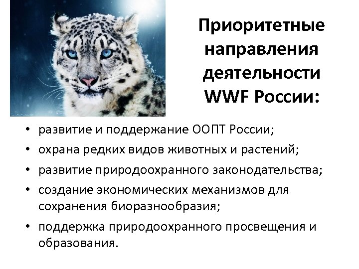 Что такое wwf 4 класс окружающий